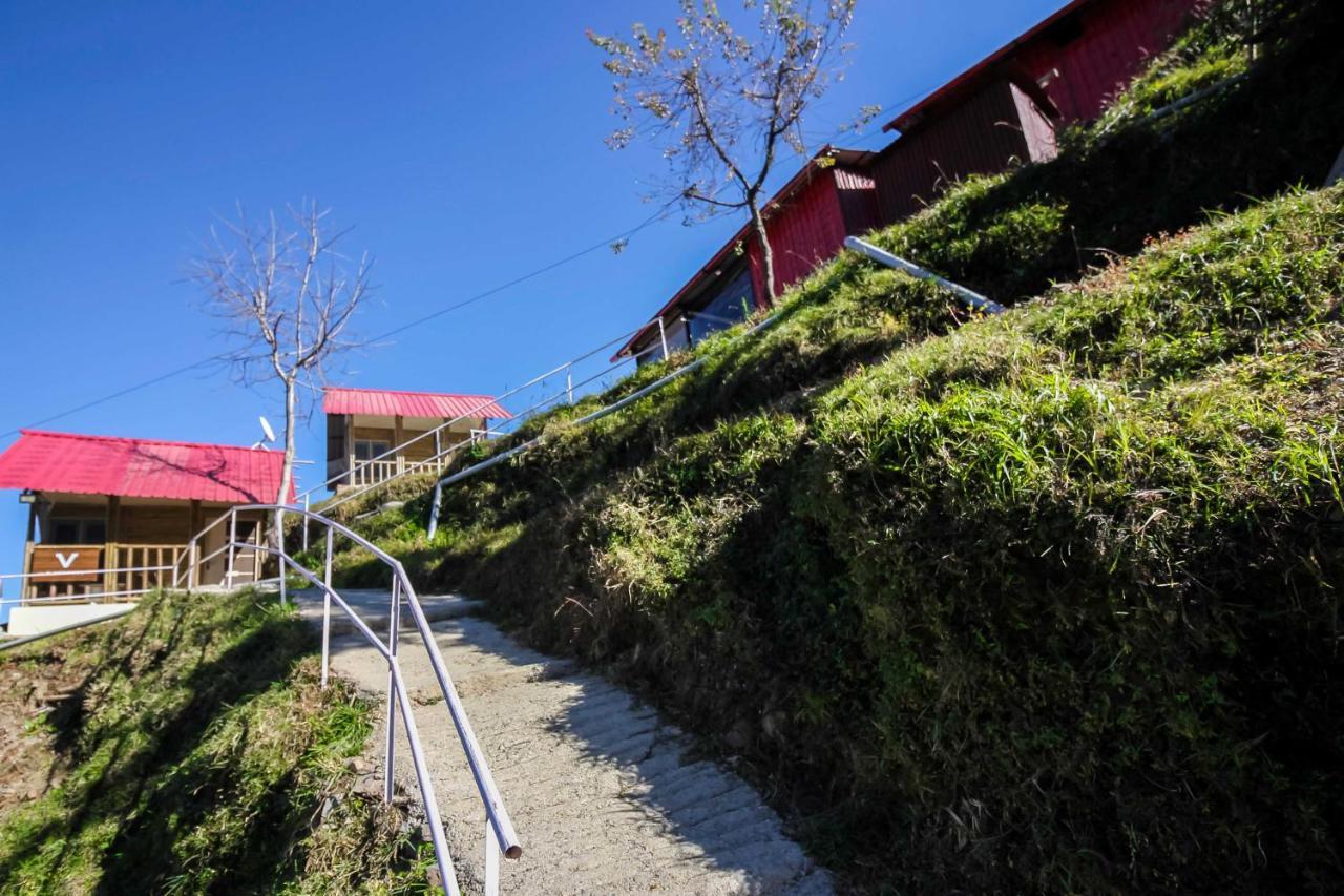 Glamwood Resort Dhanaulti, Ranked 1 In דאנאולטי מראה חיצוני תמונה